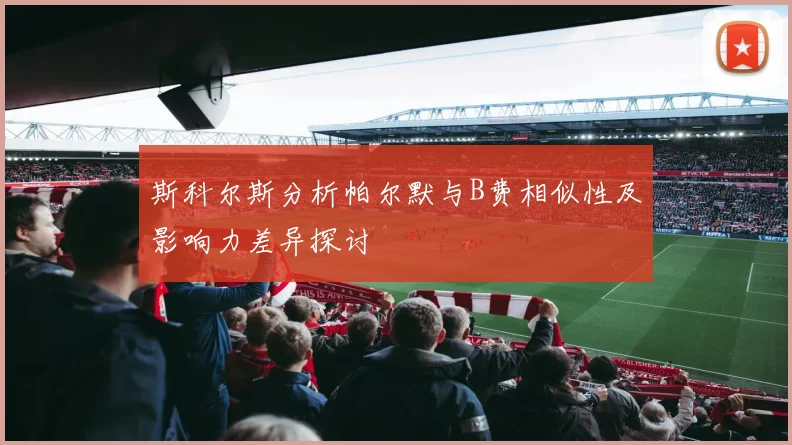 斯科尔斯分析帕尔默与B费相似性及影响力差异探讨