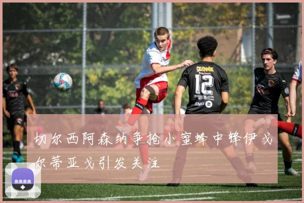 切尔西阿森纳争抢小蜜蜂中锋伊戈尔蒂亚戈引发关注