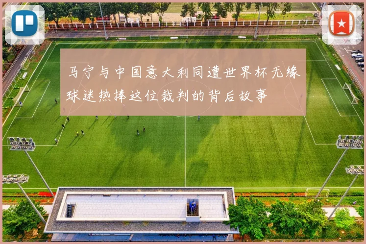马宁与中国意大利同遭世界杯无缘球迷热捧这位裁判的背后故事
