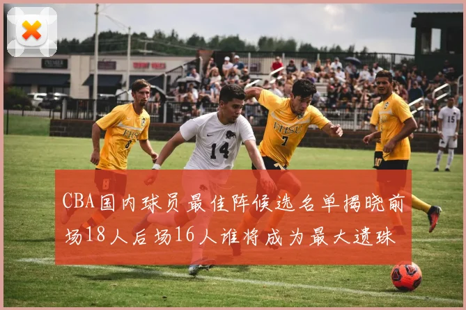 CBA国内球员最佳阵候选名单揭晓前场18人后场16人谁将成为最大遗珠