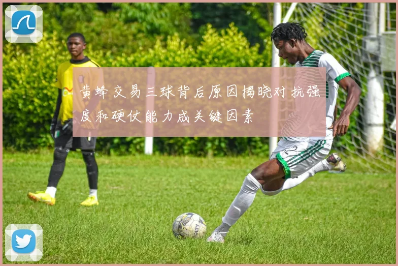 黄蜂交易三球背后原因揭晓对抗强度和硬仗能力成关键因素